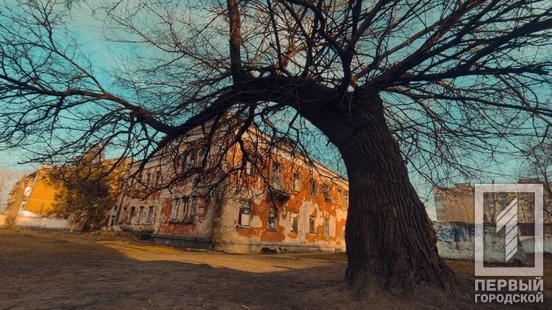 Більше ста призових місць посіли юні криворізькі фотографи у обласному фотоконкурсі «Моя Україно»8