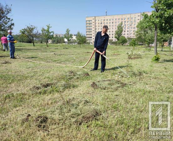 Кривий Ріг стане ще зеленішим: із березня у місті з'явилося більше тисячі нових насаджень3