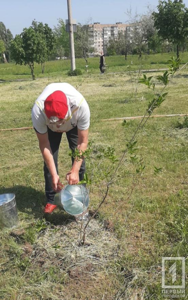 Кривий Ріг стане ще зеленішим: із березня у місті з'явилося більше тисячі нових насаджень4