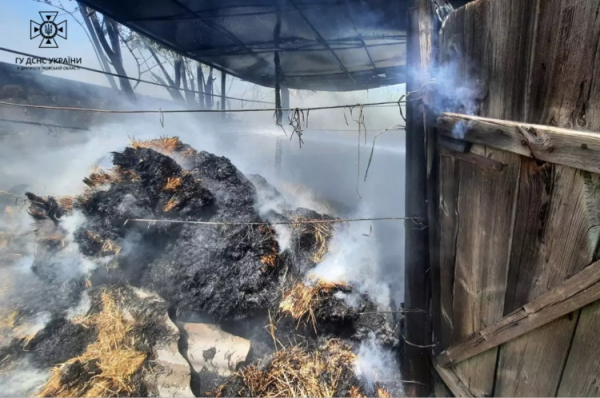 На Криворіжжі вогонь знищив тонну сіна, пожежу довелося гасити гуртом0