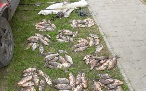 Незаконна риболовля: на Криворіжжі у браконьєра вилучили близько 130 риб0