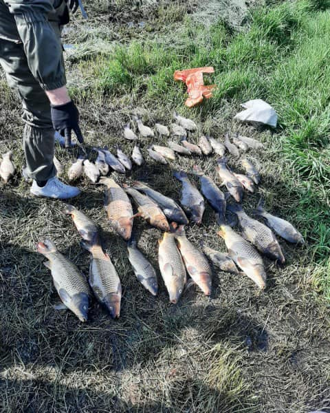 У Криворізькому районі поліція затримала чоловіка за незаконний вилов близько 50 кг риби: подробиці1