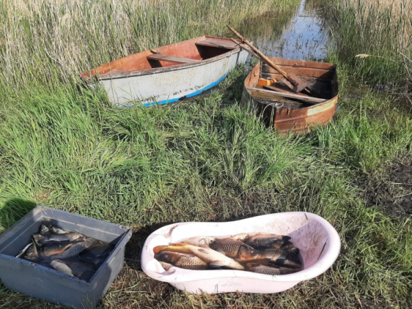У Криворізькому районі поліція затримала чоловіка за незаконний вилов близько 50 кг риби: подробиці0