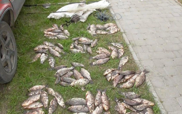 У Криворізькому районі спіймали браконьєра з виловленою рибою0