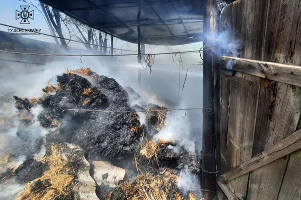 У Криворізькому районі вогонь знищив тонну сіна1