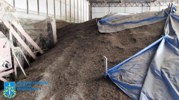 На Дніпропетровщині підприємець привласнив 3,5 млн грн державних коштів на вирощуванні соняшника1