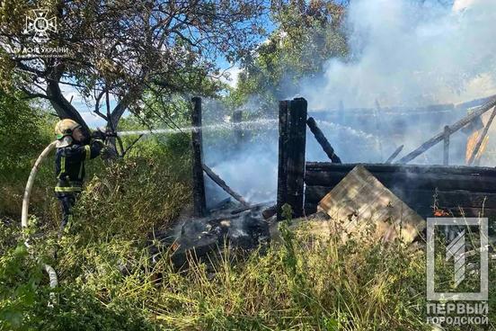 Цегли та дошки у кіптяві: вогнеборці Кривого Рогу загасили пожежу у селі Мусіївка3