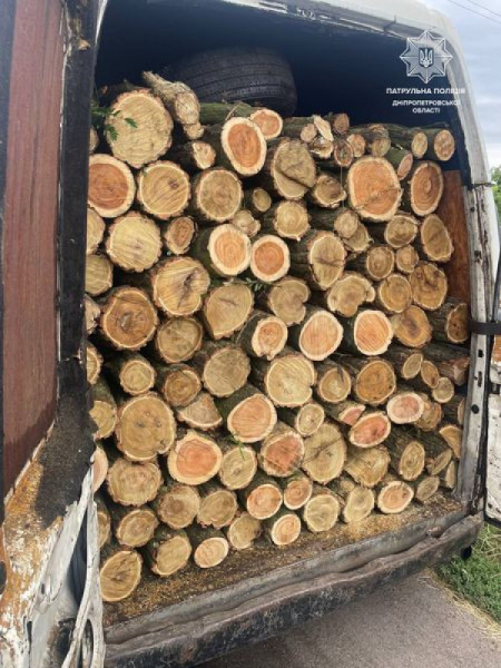 На Дніпропетровщині виявили браконьєрів, які займалися вирубкою дерев0