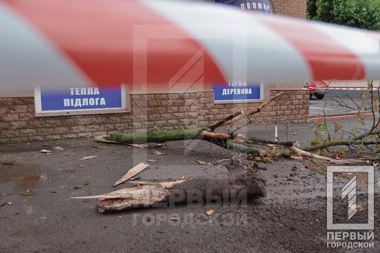 У Кривому Розі Skoda вилетіла на узбіччя та збила жінку4