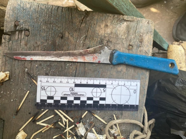 У Кривому Розі жінка зарізала свого співмешканця0