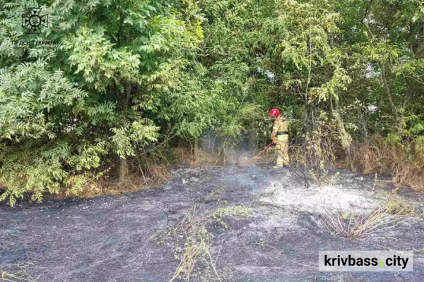 У Криворізькому районі палало поле: чи врятували урожай2