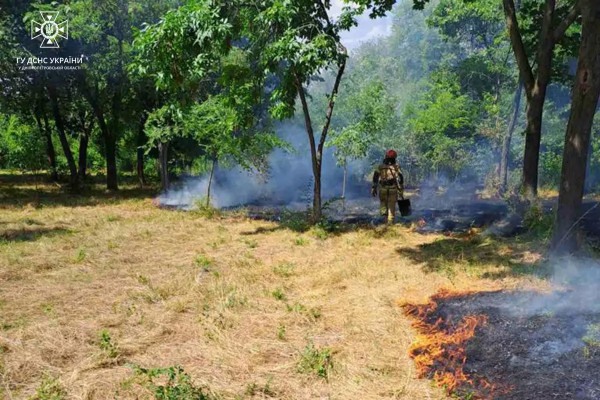 В екосистемах Криворізького та Кам’янського районів протягом минулого дня надзвичайники загасили пожежі на площі понад 10 га1