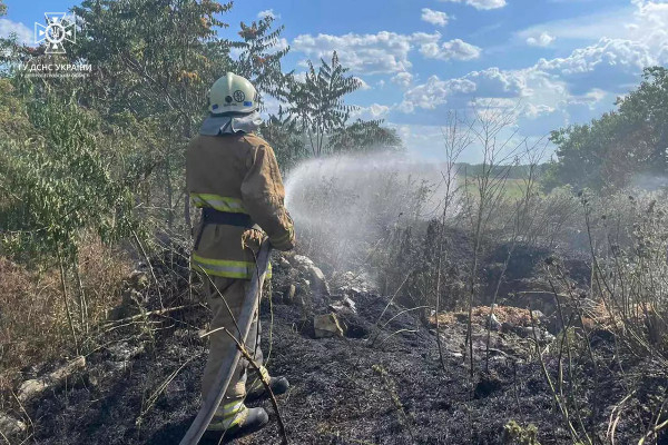 В екосистемах Криворізького та Кам’янського районів протягом минулого дня надзвичайники загасили пожежі на площі понад 10 га2