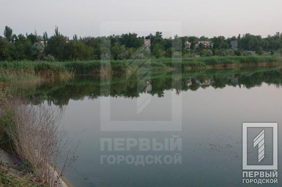 Вибухова знахідка: у ставку Кривого Рогу виявили боєприпаси2