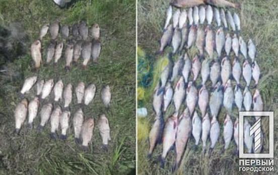 За червень на Дніпропетровщині зафіксували понад 120 порушень зі збитками в один мільйон гривень, – обласний рибоохоронний патруль