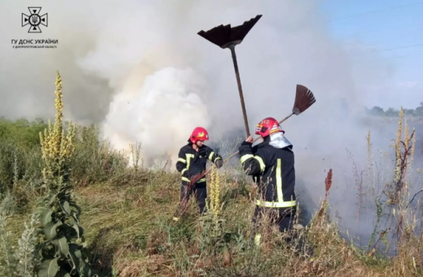 Згоріло кілька гектарів трави: на Криворіжжі сталася масштабна пожежа – фото