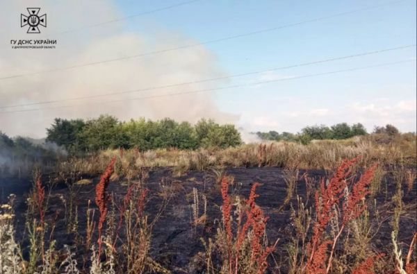 Згоріло кілька гектарів трави: на Криворіжжі сталася масштабна пожежа – фото2