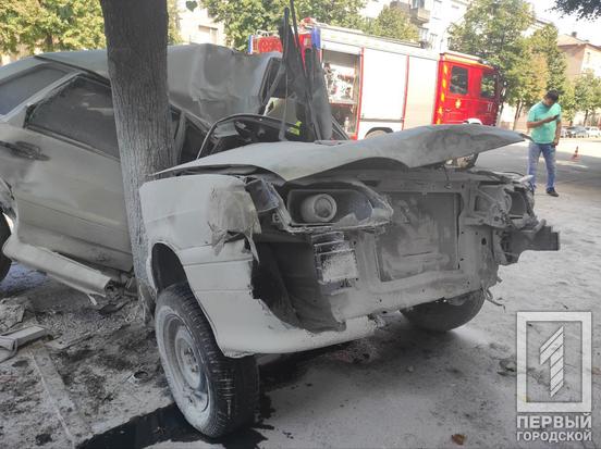 Біля місця удару стояв візочок з дитиною: в Інгулецькому районі у ДТП після зіткнення із деревом загинув водій автомобіля Lаda1