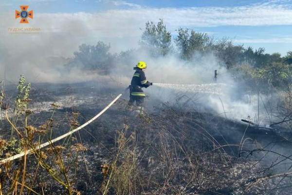 На Дніпропетровщині протягом доби ліквідовано 26 пожеж в екосистемах2