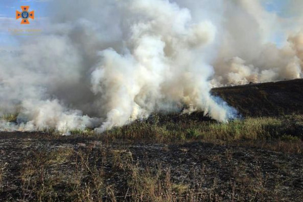 На Дніпропетровщині протягом доби ліквідовано 26 пожеж в екосистемах1