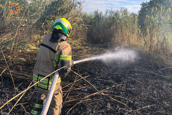 На Дніпропетровщині протягом доби ліквідовано 26 пожеж в екосистемах5
