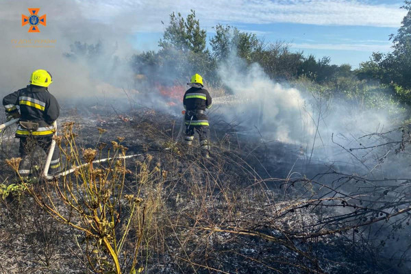 На Дніпропетровщині протягом доби ліквідовано 26 пожеж в екосистемах4