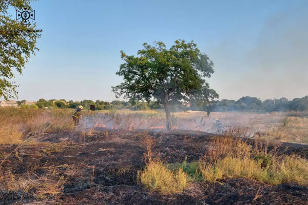 На Дніпропетровщині протягом минулої доби пожежами знищено понад 11 га родючої землі в екосистемах  5
