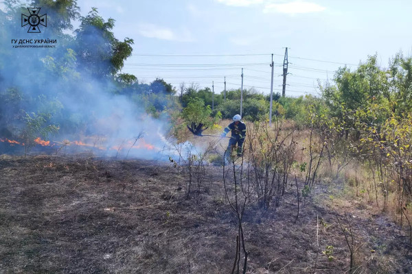 На Дніпропетровщині протягом минулої доби пожежами знищено понад 11 га родючої землі в екосистемах  0