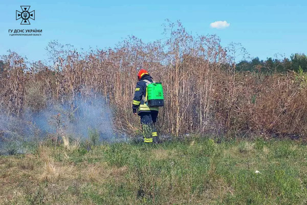 На Дніпропетровщини системно горять екосистеми0