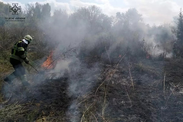 Протягом минулої доби в екосистемах Дніпропетрвощини пожежами знищено 12 га землі  1