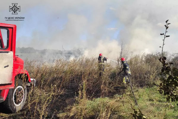 Протягом минулої доби в екосистемах Дніпропетрвощини пожежами знищено 12 га землі  3