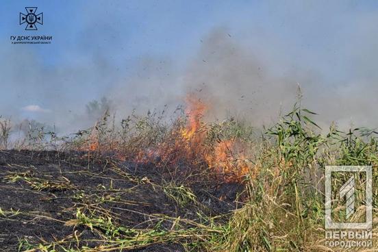 За добу на Дніпропетровщині вирувало полум’я на понад 30 гектарах екосистем3