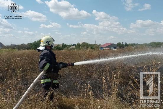 За добу на Дніпропетровщині вирувало полум’я на понад 30 гектарах екосистем4