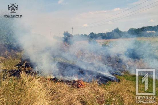 За добу на Дніпропетровщині вирувало полум’я на понад 30 гектарах екосистем2