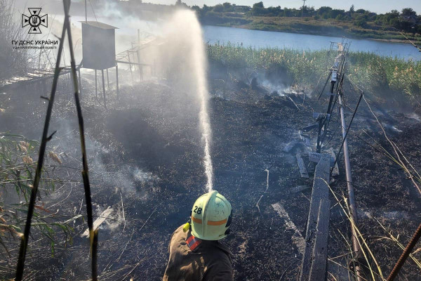 Палає сміття і сухостій: в Дніпропетровській області рятувальники за добу гасили пожежі в екосистемах 72 рази2