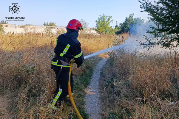 Палає сміття і сухостій: в Дніпропетровській області рятувальники за добу гасили пожежі в екосистемах 72 рази4