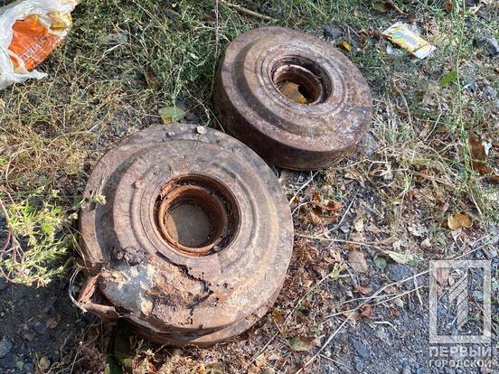 Підступно ховалися у посадці: у Кривому Розі в районі 44-го кварталу чоловік натрапив на три протитанкові міни1