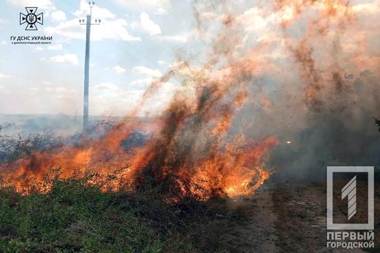 Понад 74 пожежі за минулу добу загасили рятувальники Дніпропетровщини3