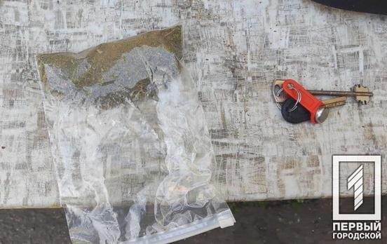 Привернув увагу, розпиваючи алкоголь: у Кривому Розі поліція затримала чоловіка з канабісом