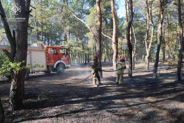 У Кривому Розі горіло лісове господарство2