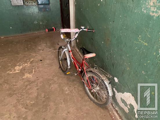 Відсутнє світло, все брудне, а навкруги таргани: у Центрально-Міському районі Кривого Рогу у матері органи опіки вилучили трьох дітей5