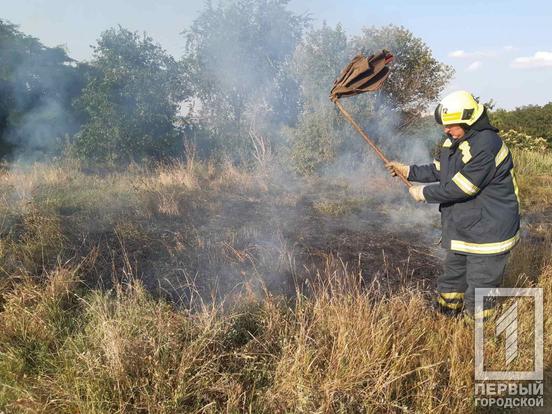 Надзвичайна пожежна небезпека триває: на Криворіжжі за минулий тиджень рятувальники зафіксували 195 займань2