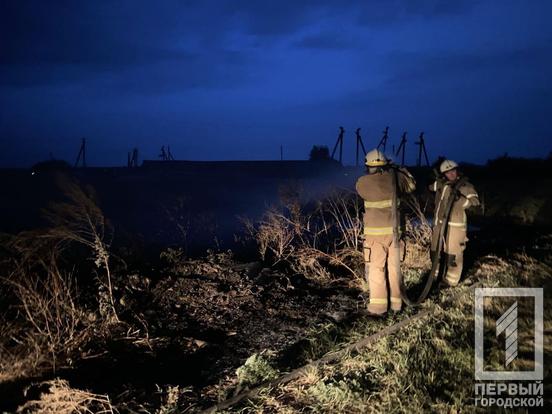За минулу добу на Криворіжжі вогнеборці ліквідували 43 пожежі в екосистемах2