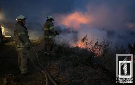 За минулу добу на Криворіжжі вогнеборці ліквідували 43 пожежі в екосистемах
