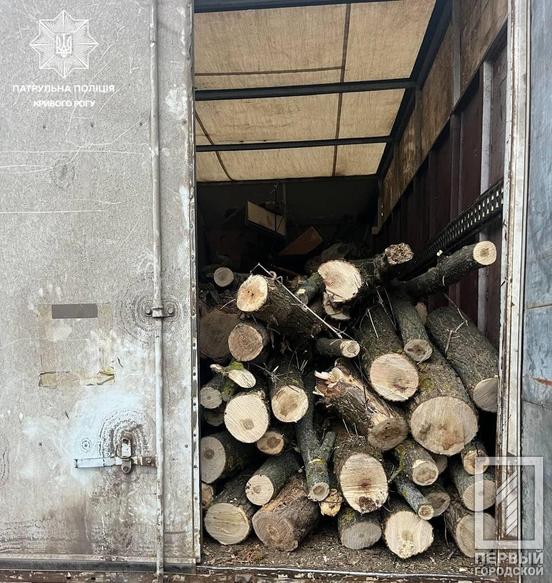 Бізнес на незаконній вирубці дерев: у Кривому Розі патрульні встановили кілька випадків «чорного» спилу за один день1