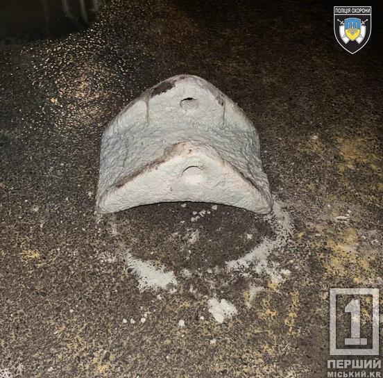 Мисливець за металом: у Кривому Розі хлопець намагався обікрасти завод2