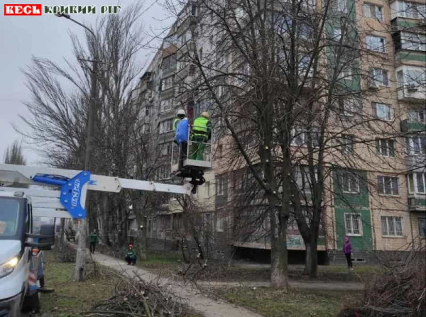 Санітарна обрізка дерев на вул. Джохара Дудаєва в Кривому Розі