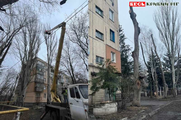 В Новопіллі Криворізького району обрізали дерева після буревію