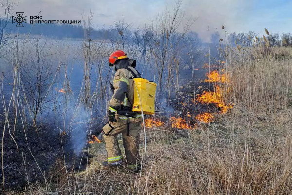 На Дніпропетровщині у вихідні значно зросла кількість пожеж в екосистемах5