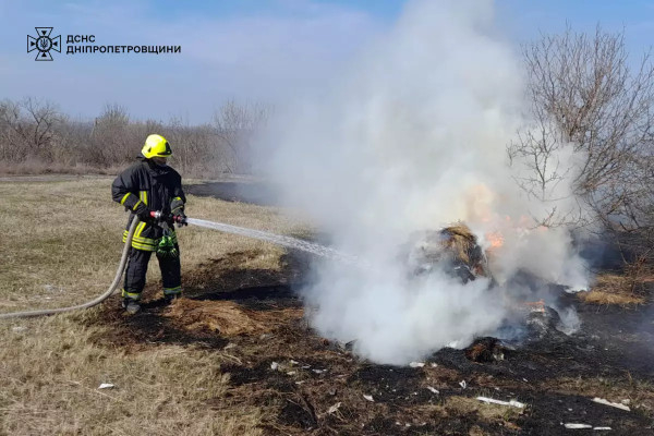 На Дніпропетровщині у вихідні значно зросла кількість пожеж в екосистемах1